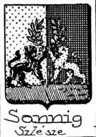 Sannig Coat of Arms / Family Crest 1