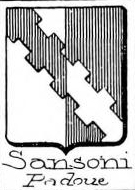 Sansoni Coat of Arms / Family Crest 3