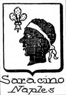 Saracino Coat of Arms / Family Crest 0