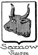 Sarnow Coat of Arms / Family Crest 0