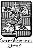 Sarntheim Coat of Arms / Family Crest 0