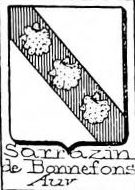 Sarrazin Coat of Arms / Family Crest 5