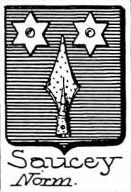 Saucey Coat of Arms / Family Crest 0