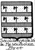 Sauldraye Coat of Arms / Family Crest 2