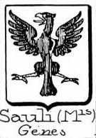 Sauli Coat of Arms / Family Crest 3
