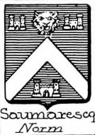 Saumarescq Coat of Arms / Family Crest 0