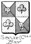 Saur Coat of Arms / Family Crest 3