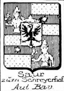Saur Coat of Arms / Family Crest 4
