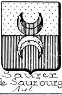 Saurer Coat of Arms / Family Crest 2