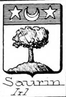Saurin Coat of Arms / Family Crest 2