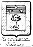 Sausin Coat of Arms / Family Crest 1