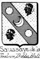 Saussaye Coat of Arms / Family Crest 2