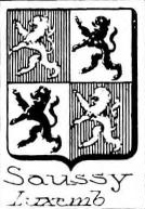 Saussy Coat of Arms / Family Crest 0