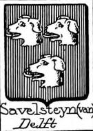 Savelsteyn Coat of Arms / Family Crest 0