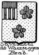 Saverneel Coat of Arms / Family Crest 0