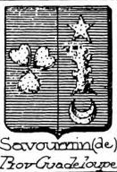Savournin Coat of Arms / Family Crest 0