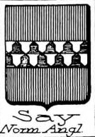 Say Coat of Arms / Family Crest 14