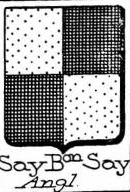 Say Coat of Arms / Family Crest 15