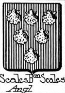 Scales Coat of Arms / Family Crest 5