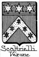 Scaltrielli Coat of Arms / Family Crest 0