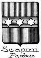 Scapini Coat of Arms / Family Crest 0