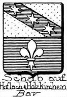 Schab Coat of Arms / Family Crest 0