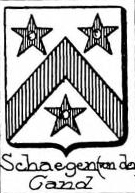 Schaegen Coat of Arms / Family Crest 1