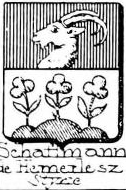 Schaffman Coat of Arms / Family Crest 0