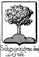 Schagen Coat of Arms / Family Crest 7