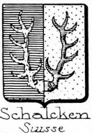 Schalcken Coat of Arms / Family Crest 0