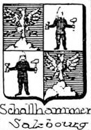 Schallhammer Coat of Arms / Family Crest 0