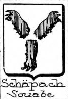 Schapach Coat of Arms / Family Crest 0
