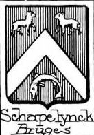 Schapelynck Coat of Arms / Family Crest 1