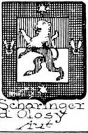 Scharinger Coat of Arms / Family Crest 0