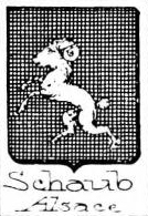 Schaub Coat of Arms / Family Crest 1