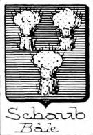 Schaub Coat of Arms / Family Crest 3