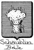Schaublin Coat of Arms / Family Crest 0