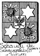 Schaudi Coat of Arms / Family Crest 2