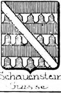Schauenstein Coat of Arms / Family Crest 2