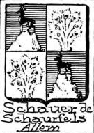 Schauer Coat of Arms / Family Crest 7