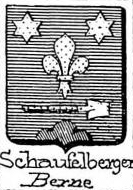 Schaufelberger Coat of Arms / Family Crest 0