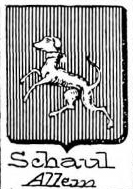 Schaul Coat of Arms / Family Crest 0