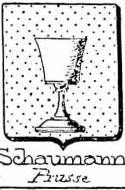 Schaumann Coat of Arms / Family Crest 0