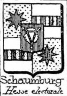 Schaumburg Coat of Arms / Family Crest 1