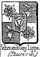 Schaumburg Coat of Arms / Family Crest 2