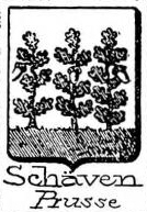 Schaven Coat of Arms / Family Crest 0
