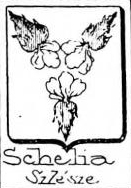 Schelia