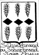 Schierbrand Coat of Arms / Family Crest 0
