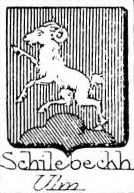 Schilebeckh Coat of Arms / Family Crest 0