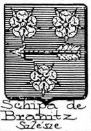 Schipa Coat of Arms / Family Crest 0